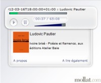 Ivoire bris - Posie et Flamenco, Ludovic Pautier